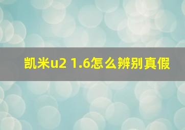 凯米u2 1.6怎么辨别真假